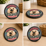 Adorable Grumpy Cat Coaster – “You Really Thought That Would Work”
